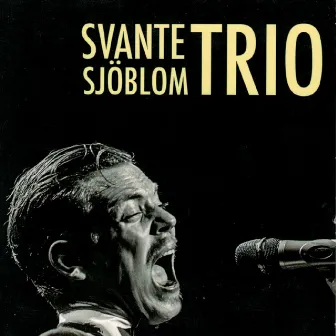 Svante Sjöblom Trio by Svante Sjöblom