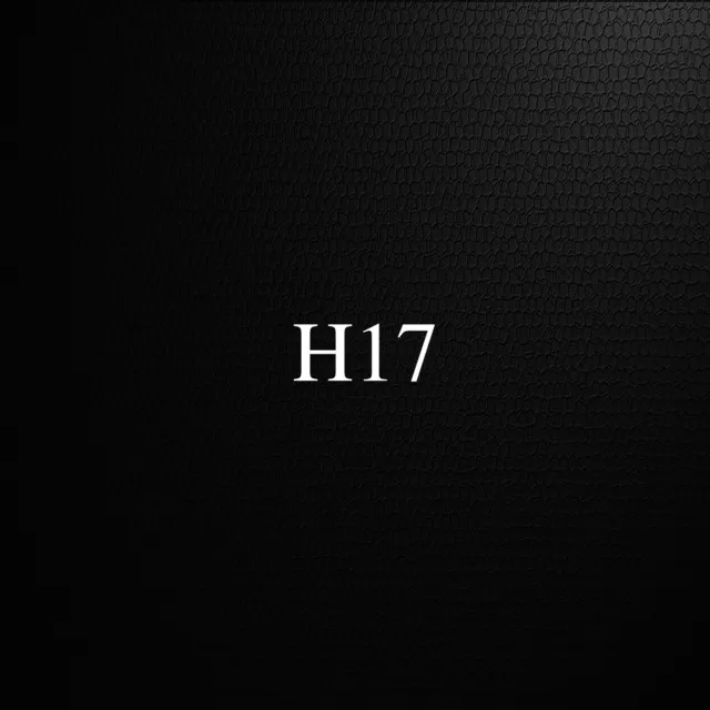 H17