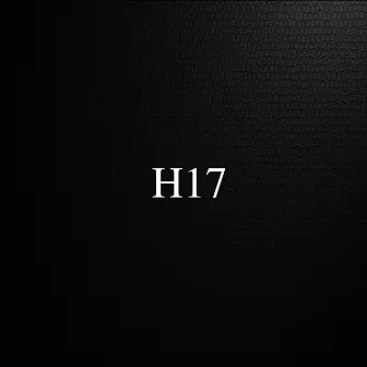 H17 by Heykel