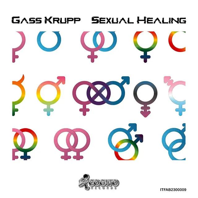 Sexual Healing - Gass Krupp Madamegu Extended Mix