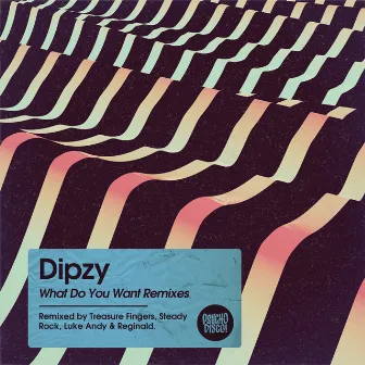 What Do You Want (Remixes) by Dipzy