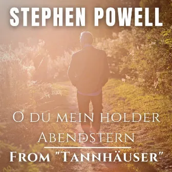 O du mein holder Abendstern from Tannhäuser (Live) by Stephen Powell