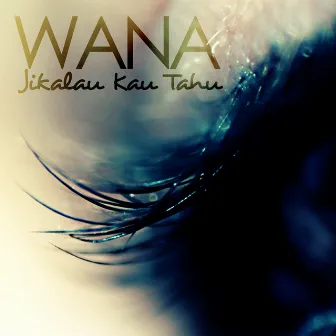 Jikalau Kau Tahu by Wana