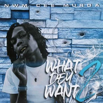 What Dey Want 2 by NWM Cee Murdaa