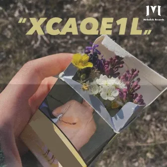 XCAQE1L by 