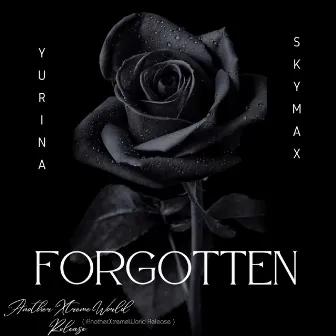 Forgotten by Sky Max