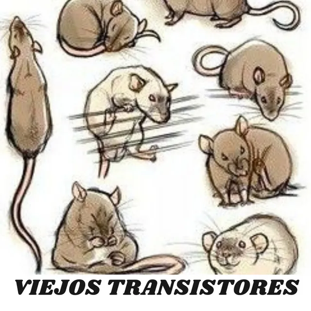 Viejos Transistores