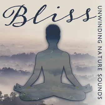 Bliss: Unwinding Nature Sounds - Spiritual Connections, Positive Energy Bonds, Chill & Relaxation by Relaxing Nature Essence