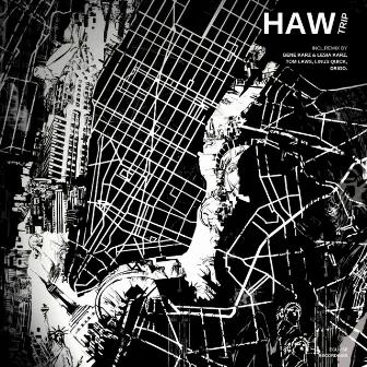 The Trip LP by HAW