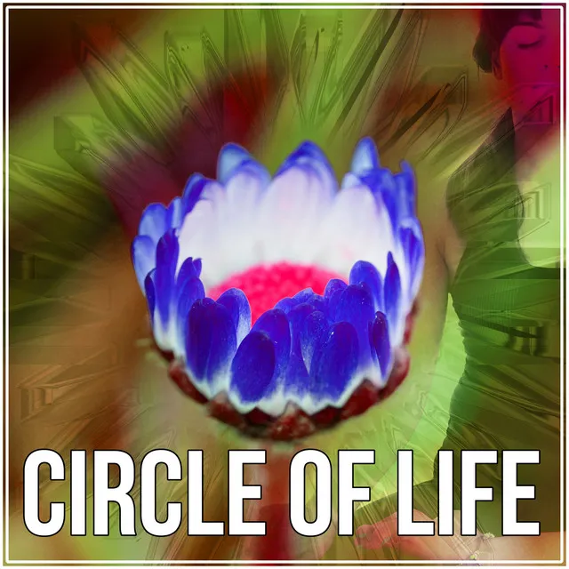 Circle of Life - Meditation & Yoga Exercises, Guided Imagery Music, Calm Life, Asian Zen Spa and Massage