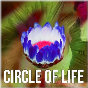 Circle of Life - Meditation & Yoga Exercises, Guided Imagery Music, Calm Life, Asian Zen Spa and Massage by Slow Life Movement