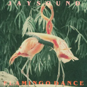 Flamingo Dance by Jay Sound