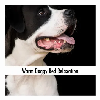 Warm Doggy Bed Relaxation by Calming Dog Relaxation