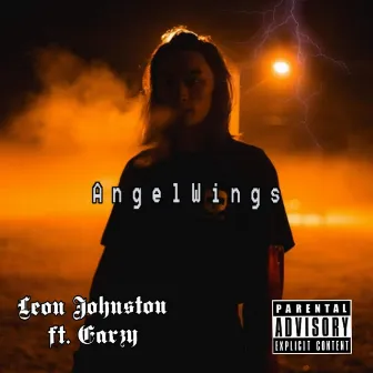 Angel Wings by Leon Johnston