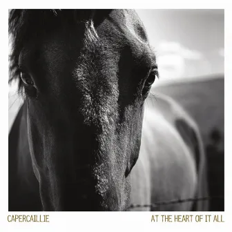 At the Heart of It All by Capercaillie