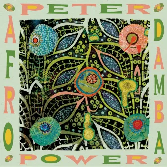 Afro Damba by Peter Power