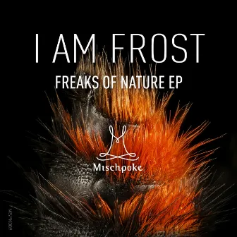 Freaks of Nature EP by Rich & Maroq