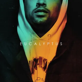 Eucalyptus by Tastic