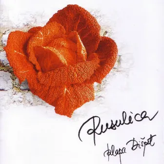 Rusulica by Klapa Dišpet