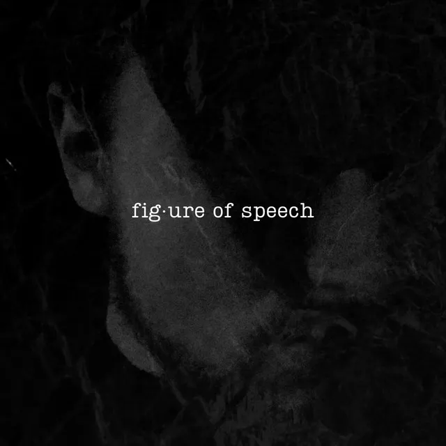 Figure of Speech