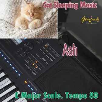 Cat Sleeping Music by Ash Imran Sajan