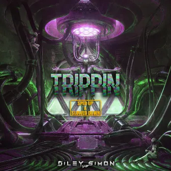 Trippin (Sped Up & Slowed Down) by Diley Simon VIP