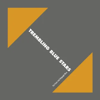 Fast Trains And Telegraph Wires (25th Elefant Anniversary Reissue) by Trembling Blue Stars