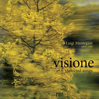 Luigi Mantegani: Visione by Roberta Canzian