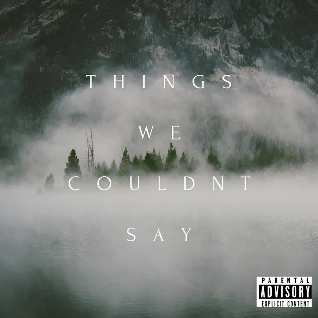 Things We Couldn't Say