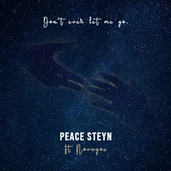 Don't Ever Let Me Go by Peace Steyn