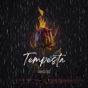 Tempesta by Lohr