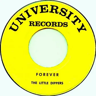 Forever by The Little Dippers