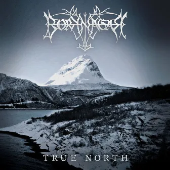 True North by Borknagar