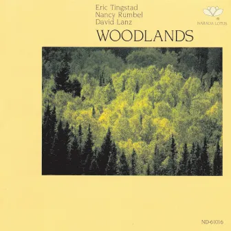 Woodlands by Eric Tingstad