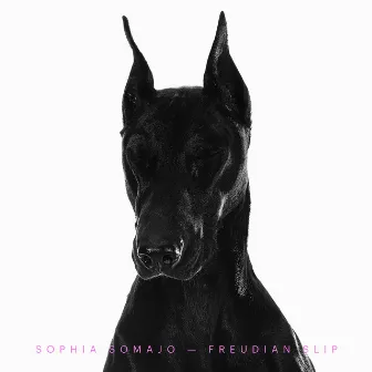 Freudian Slip by Sophia Somajo