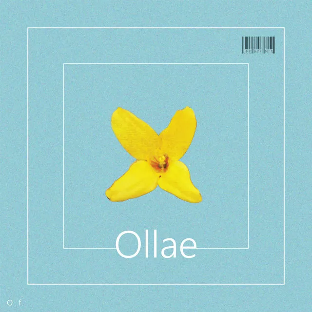 Ollae