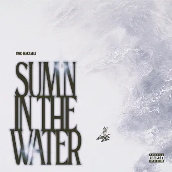 SUM'N IN THE WATER by Timo Makaveli