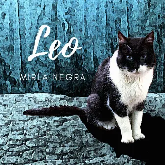 Leo (Acústico) by Mirla Negra