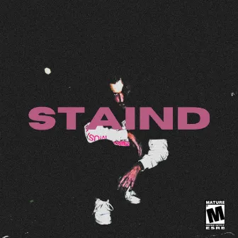 STAIND by Shvle