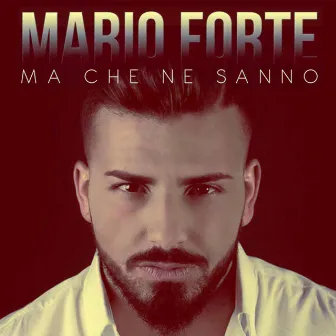 Ma che ne sanno by Mario Forte