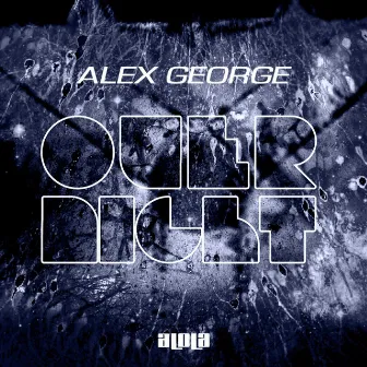 Overnight by Alex George