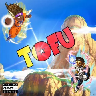 Tofu by Unknown Artist