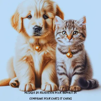 Musique de relaxation pour animaux de compagnie pour chats et chiens, animaux heureux, soulagement du stress pour les amis à fourrure by 