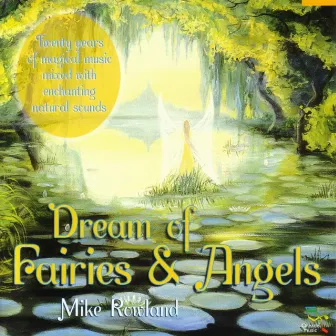 Dream Of Fairies & Angels by Mike Rowland