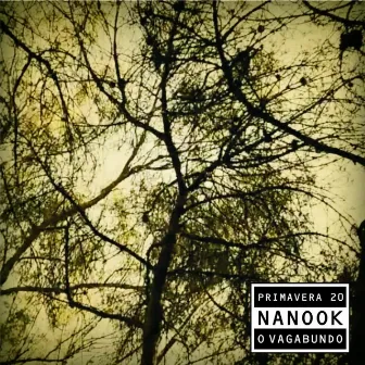 Primavera 20 - EP by Nanook O Vagabundo