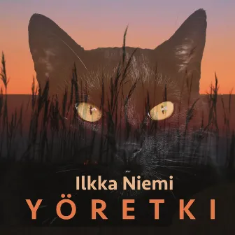 Yöretki by Ilkka Niemi