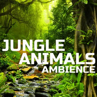 Jungle Animals Ambience by Jungle Animals Ambience