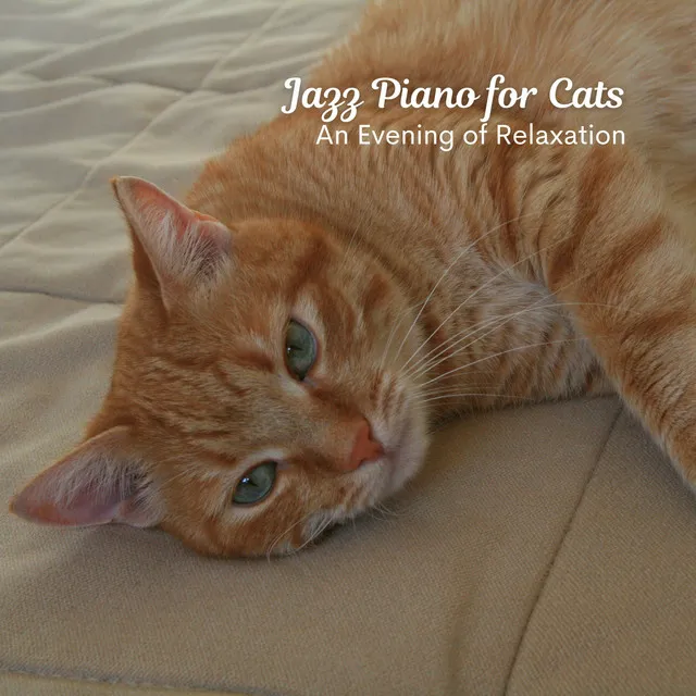 Jazz Piano for Cats: An Evening of Relaxation