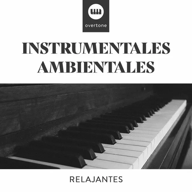 Instrumentales Ambientales Relajantes