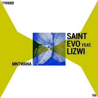 Mntwana by Saint Evo